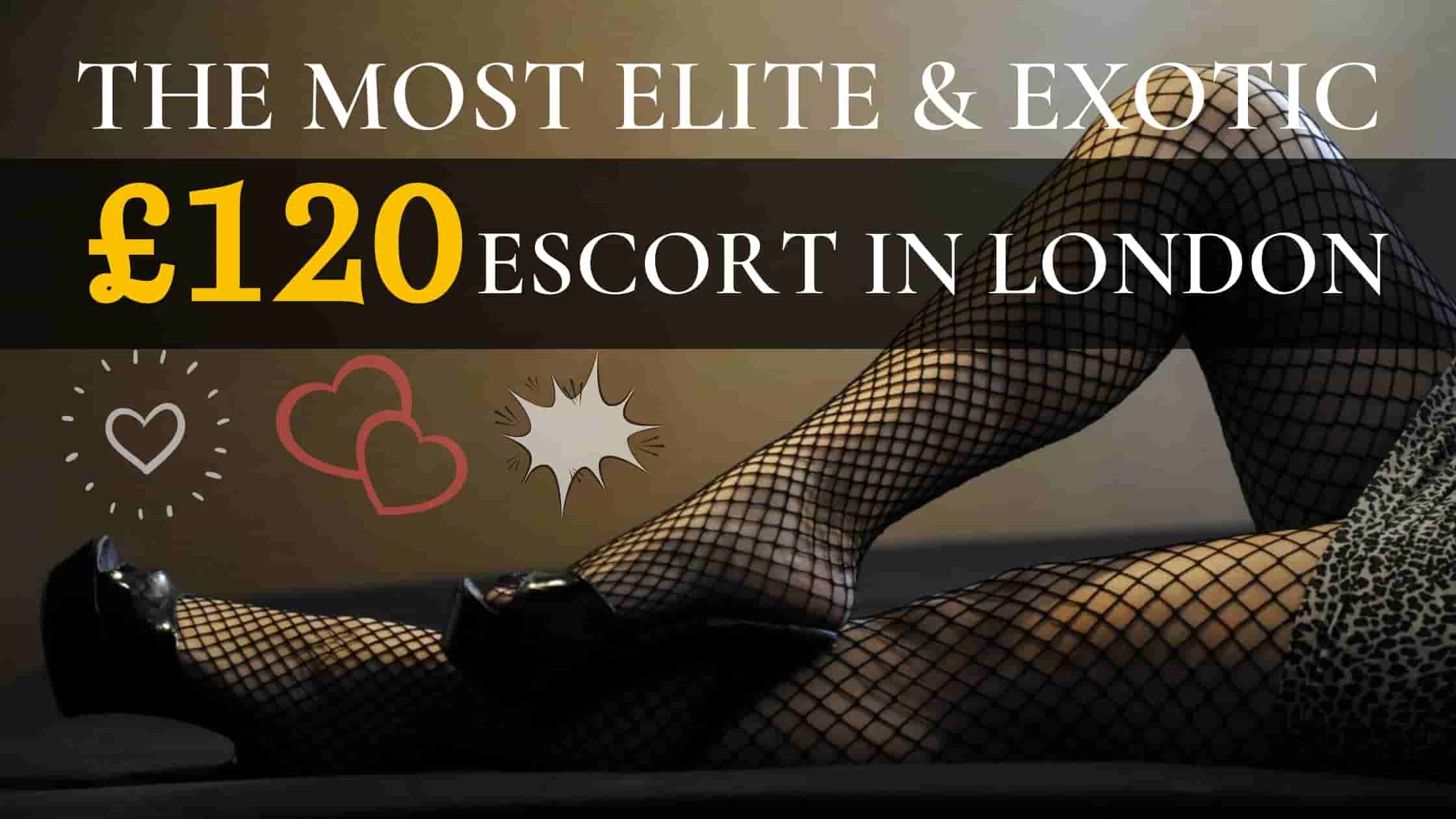 Hire The Most Elite and Exotic £120 Escort In London