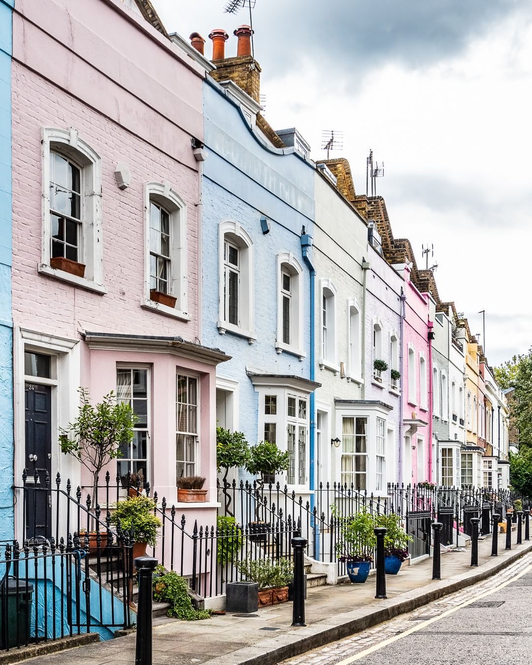 Chilling with a companion in Chelsea