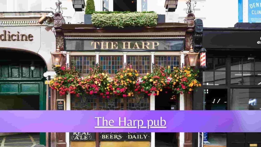 The Harp pub